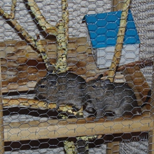 DEGU VEVERICE