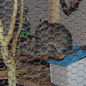 P4200040.jpg