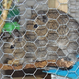 P4200042.jpg